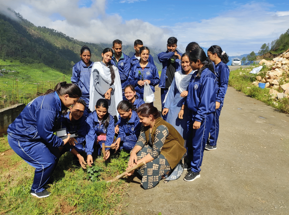 Pits B.Ed College Uttarkashi Plantation photo 2